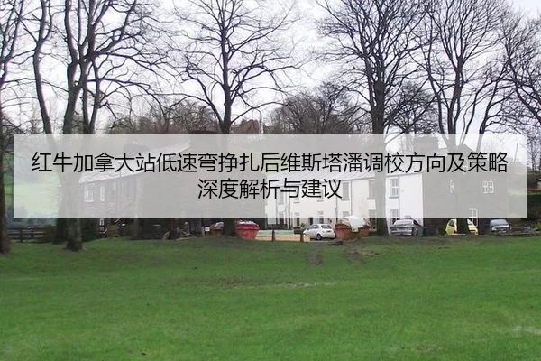 红牛加拿大站低速弯挣扎后维斯塔潘调校方向及策略深度解析与建议